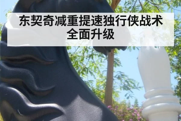东契奇减重提速独行侠战术全面升级